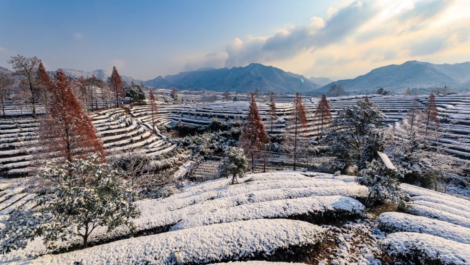 义乌大陈道人峰茶园雪景风光延时摄影