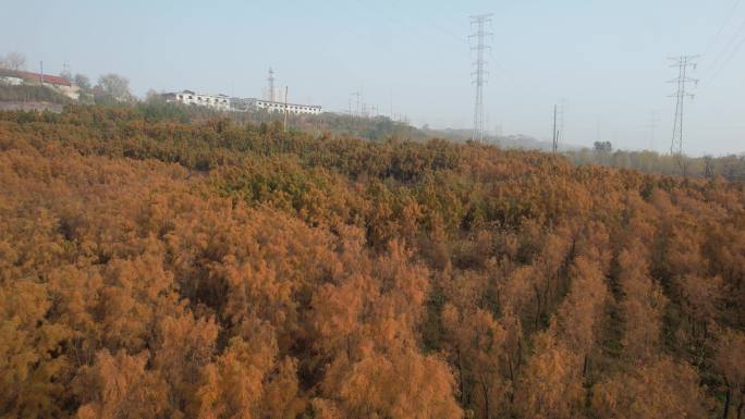 山西运城市盐湖岸畔秋景