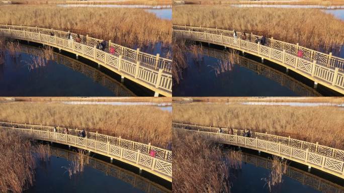 行走在深秋湿地公园廊桥摄影团队