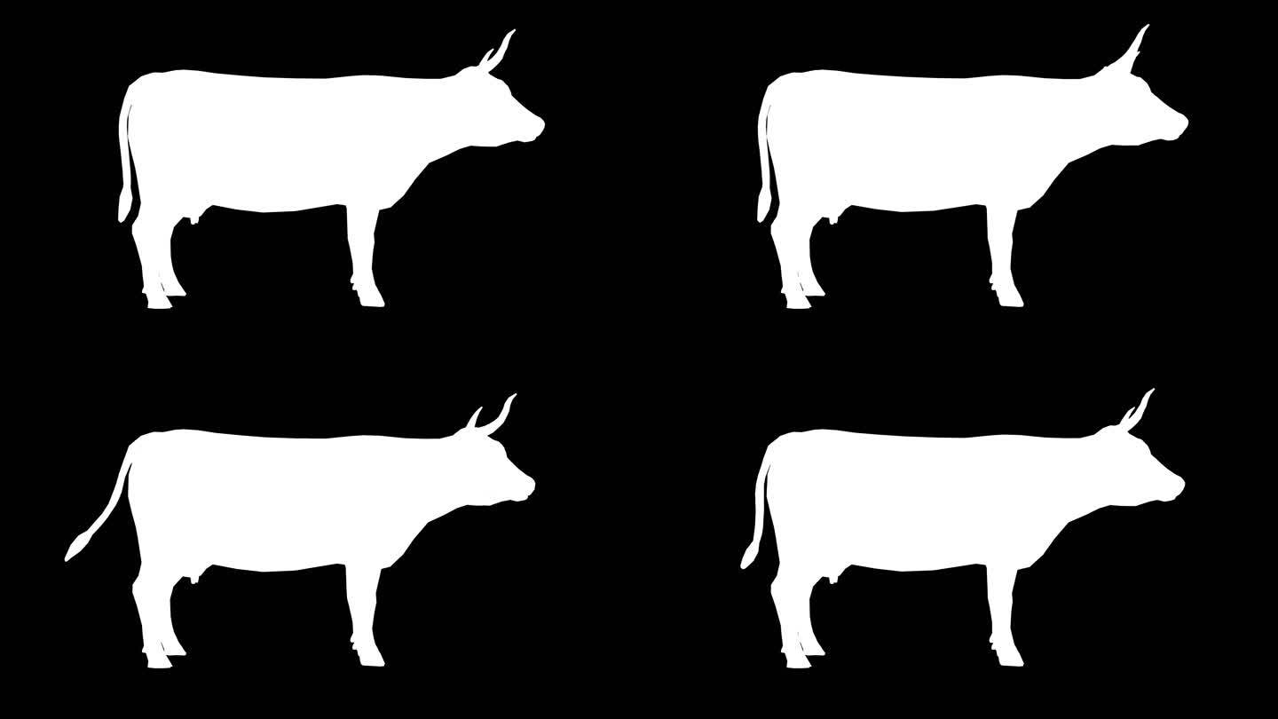 黑色背景上的等待奶牛剪影。动物、野生动物、游戏、返校、3d动画、短视频、电影、卡通、有机、色度键、人