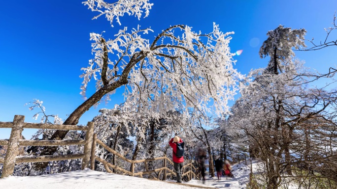 黄山风景区冬季雾凇奇观延时摄影