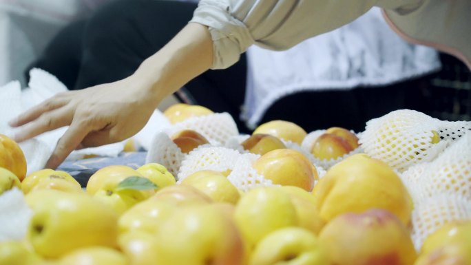 实拍农副产品水果桃子分检