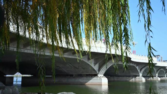城市公园湖水蓝天楼群大桥垂柳黄叶