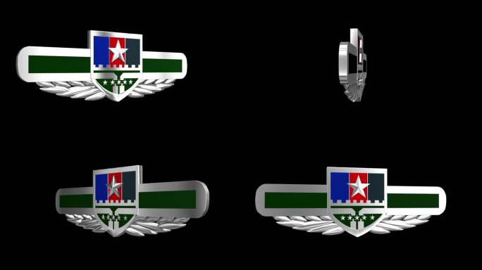 联勤保障部队胸标带透明通道循环视频