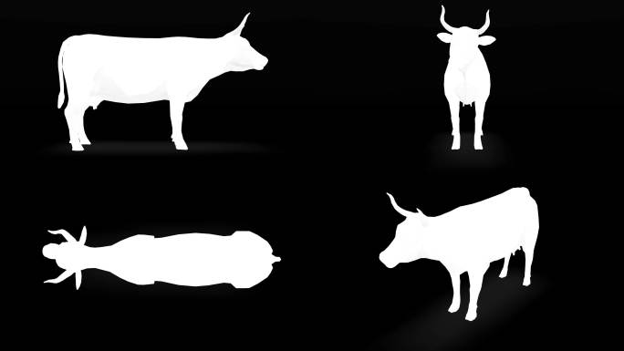 黑色背景下的奶牛剪影。动物、野生动物、游戏、返校、3d动画、短视频、电影、卡通、有机、色度键、人物动