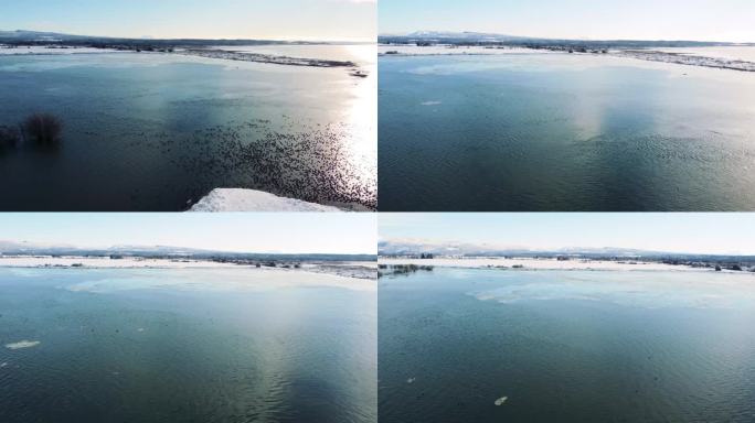 冷冻海，华盛顿海岸