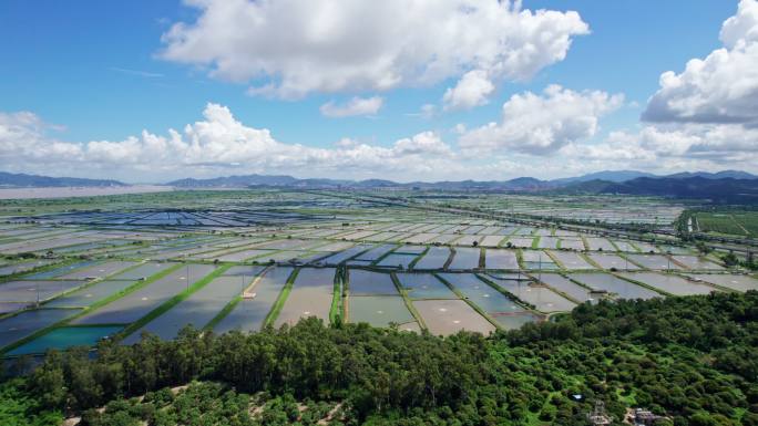 4K珠海金湾平沙渔业蓝天航拍