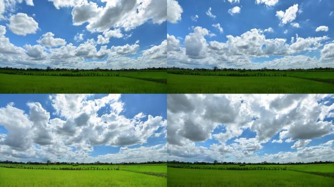 天空中移动的云笼罩着自然美丽的农场，时光流逝
