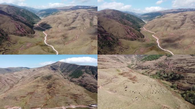 大凉山山脉高山绵羊航拍