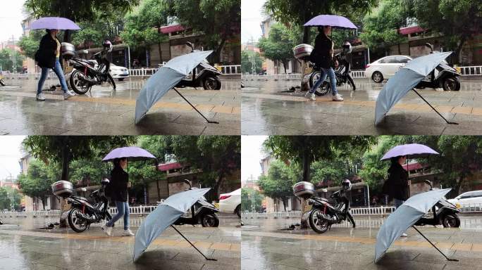 雨天雨伞行人斑马线走路的行人雨滴 雨点
