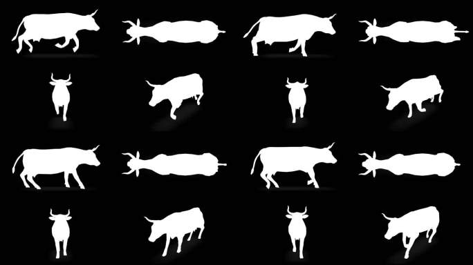 黑色背景上的奶牛剪影。动物、野生动物、游戏、返校、3d动画、短视频、电影、卡通、有机、色度键、人物动