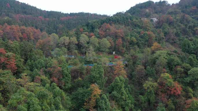 轻卡山区道路行驶