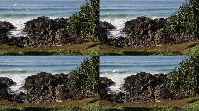 澳大利亚新南威尔士州特威德海岸黑斯廷斯角海鸥飞行的慢镜头片段，4K