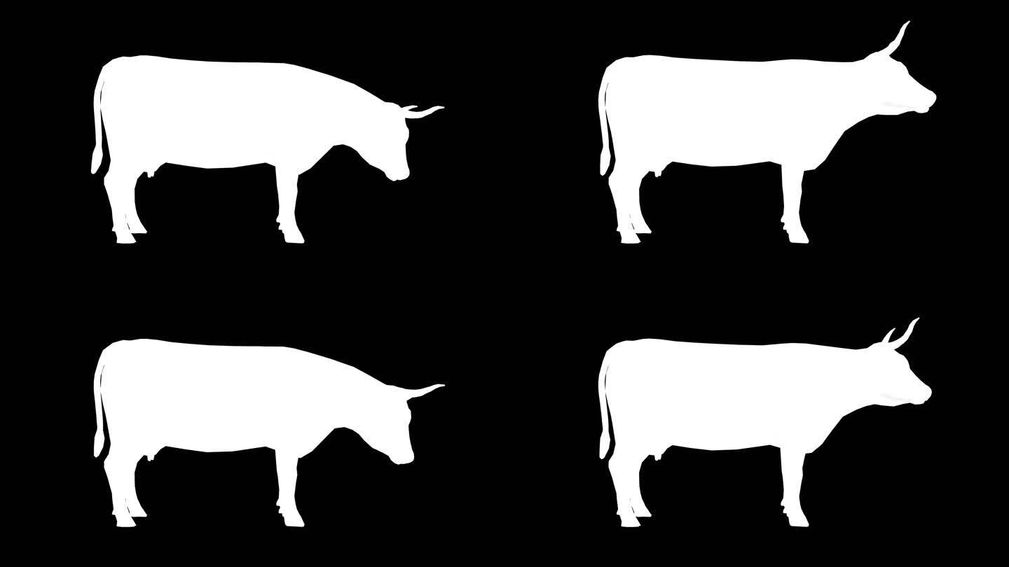 黑色背景下的食用牛剪影。动物、野生动物、游戏、返校、3d动画、短视频、电影、卡通、有机、色度键、人物