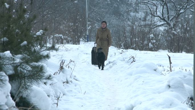 温馨回家素材雪地里春节返乡的女孩