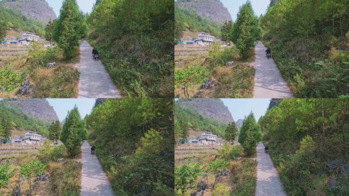 广西白裤瑶原住民山路骑摩托车和走路背影