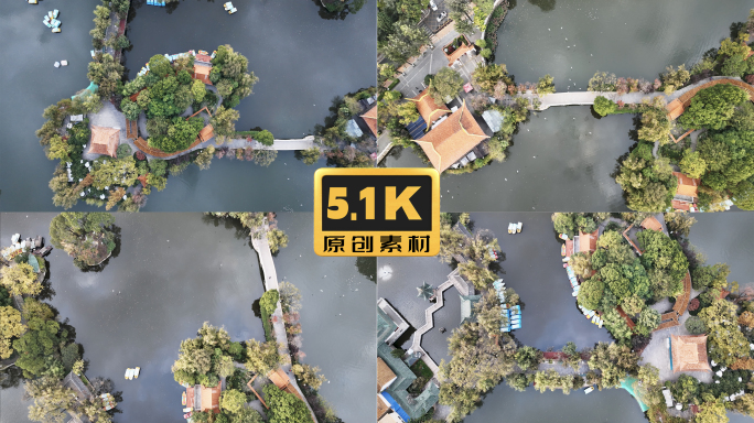 5K-俯瞰昆明翠湖公园，翠湖公园海鸥