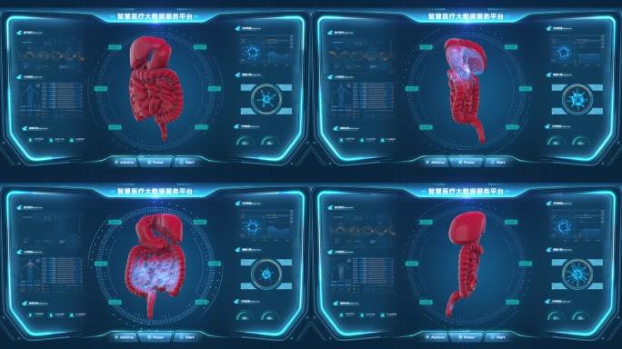 人体HUD 消化系统 HUD消化系统