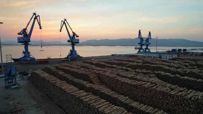 日出时的木码头保护环境砍伐破坏
