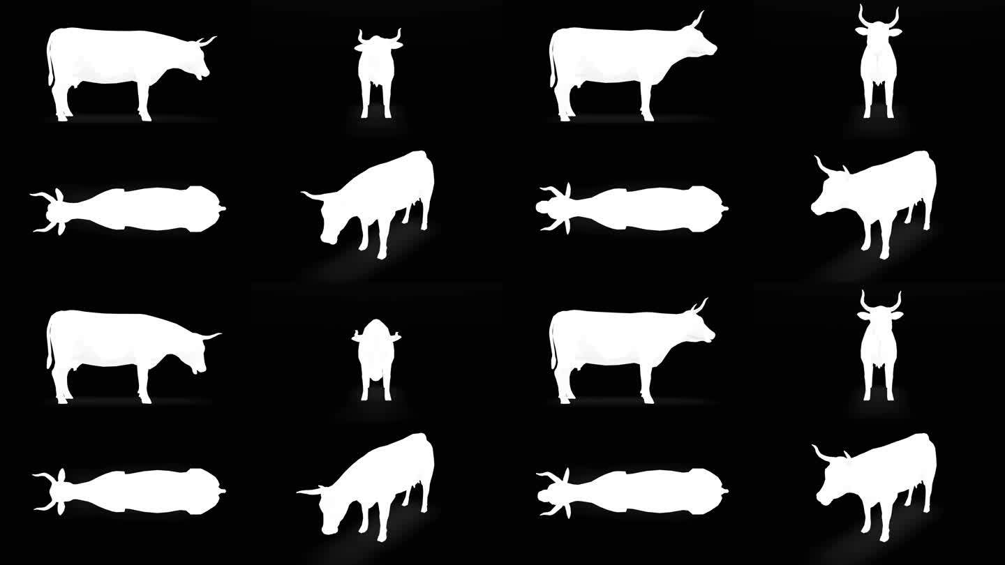 黑色背景下的食用牛剪影。动物、野生动物、游戏、返校、3d动画、短视频、电影、卡通、有机、色度键、人物