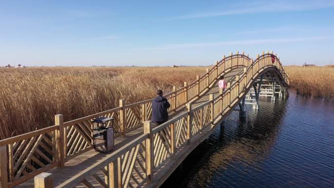 深秋湿地公园景观桥游客