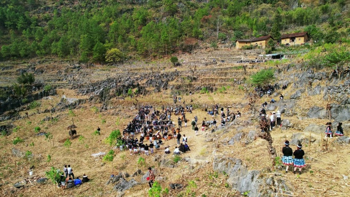 白裤瑶丧葬祭祀人群砍牛活动