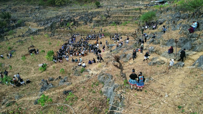 白裤瑶丧葬祭祀人群砍牛活动