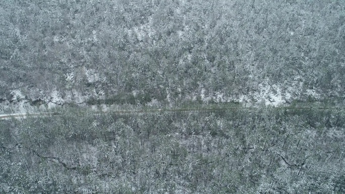 航拍春季森林降雪山路