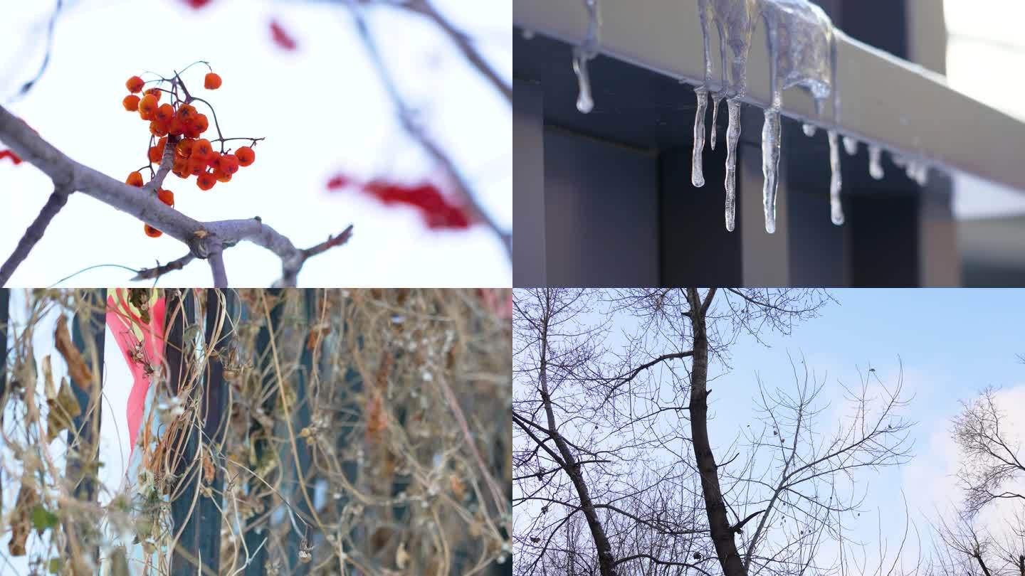 冬季雪景初雪