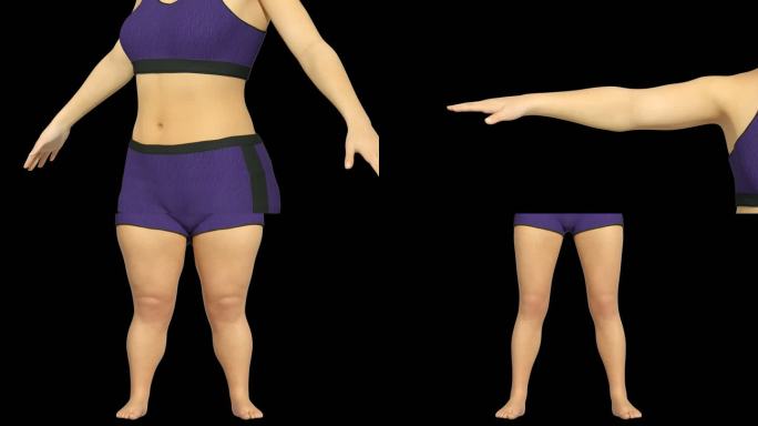 3D女性瘦身特写瘦肚子腿胳膊脖子带通道
