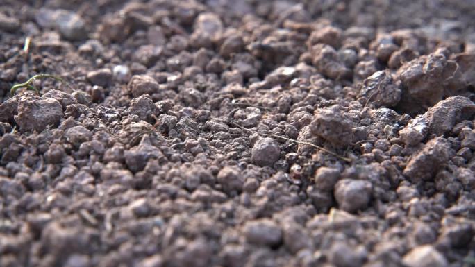 慢镜头洒水滴落在泥土上浸润土壤实拍