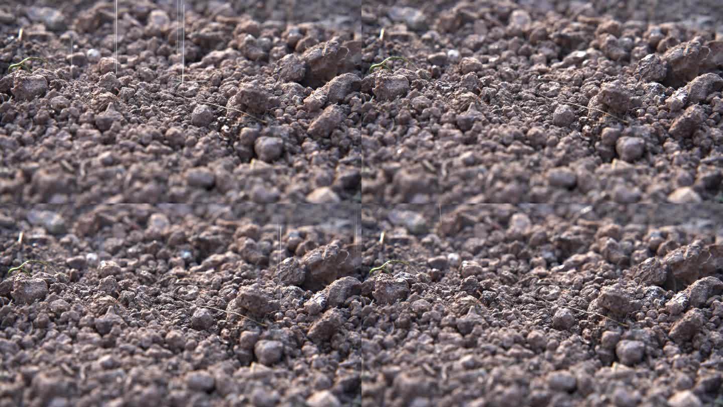 慢镜头洒水滴落在泥土上浸润土壤实拍