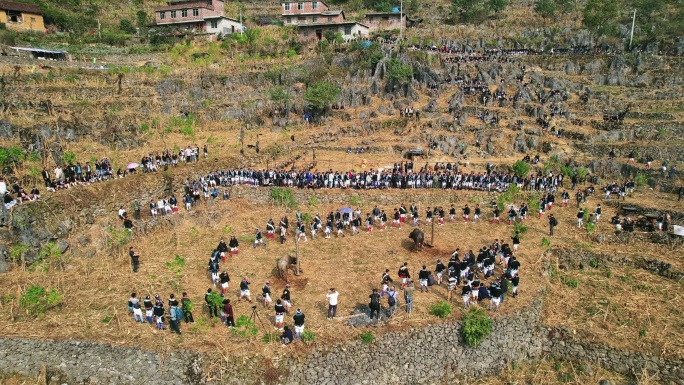 白裤瑶丧葬祭祀人群砍牛活动