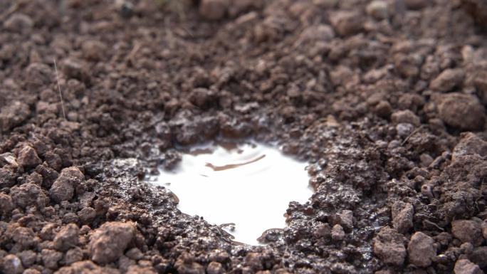 慢镜头雨滴滴落在土壤中的水坑-三农