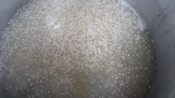 煮米饭发酵、热量-温度、成分气泡、
