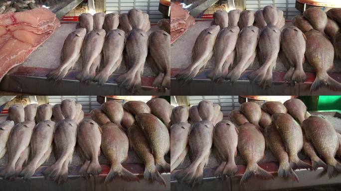 在贝雷姆多帕拉的Ver-o-Peso市场出售的新鲜鱼