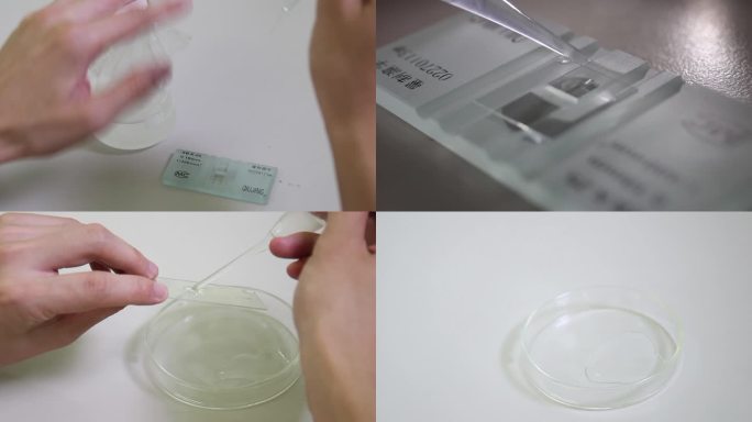 微生物学实验操作血球计数板操作演示