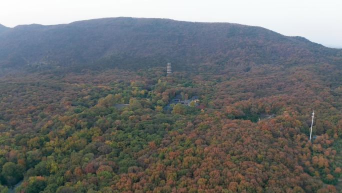 航拍深秋里五彩的紫金山与灵谷寺塔