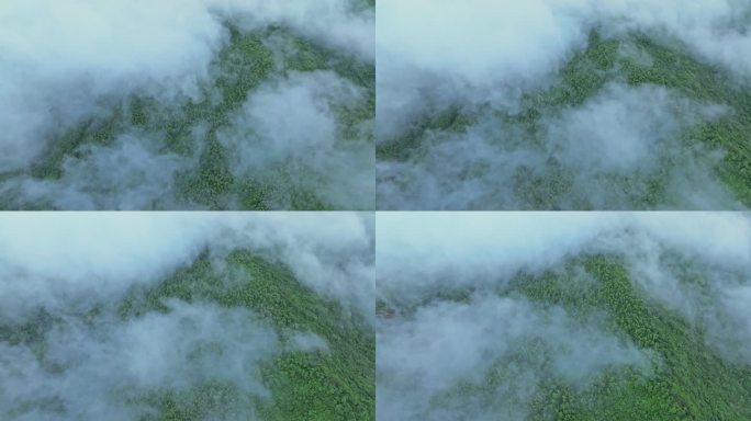 航拍绿色树林晨雾深坑云海缭绕