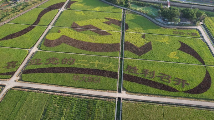 深圳大鹏古城