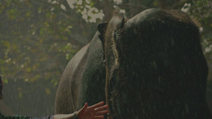 泰国新年：大象快乐