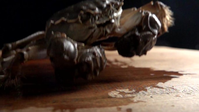 螃蟹河蟹升格创意视频