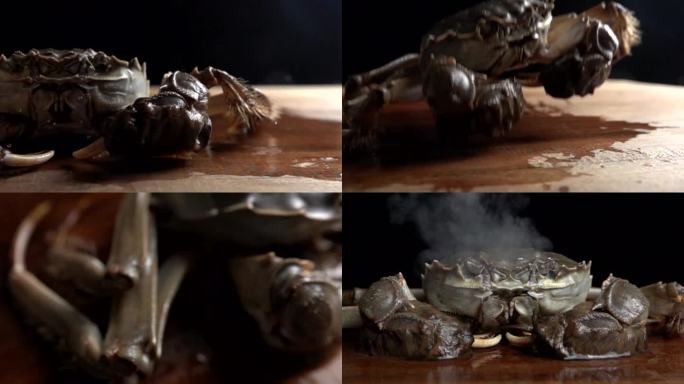 螃蟹河蟹升格创意视频