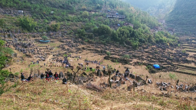 白裤瑶丧葬祭祀人群砍牛活动