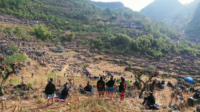 白裤瑶丧葬祭祀人群砍牛活动航拍