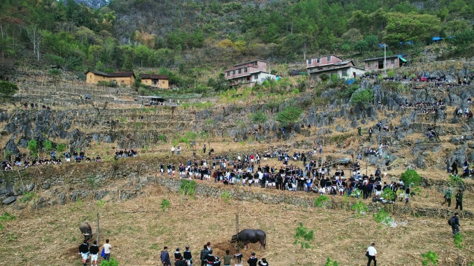 白裤瑶打铜鼓猴鼓舞传统丧葬祭祀活动