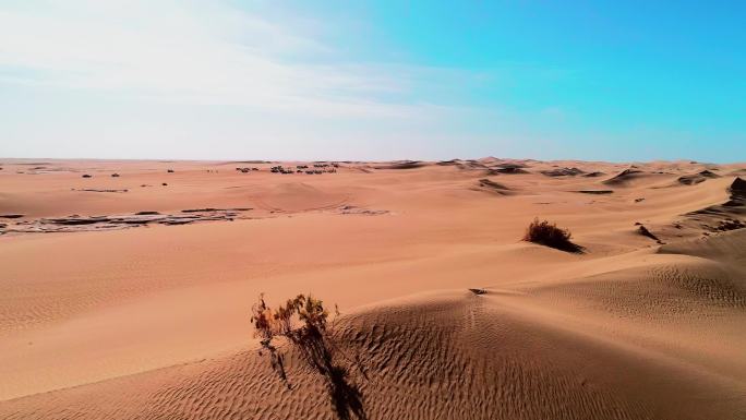 沙漠无人区沙丘 撒哈拉沙漠 自然沙漠地区