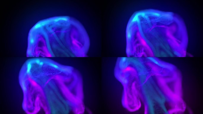 摘要蓝色和粉色粒子流体在黑色上的宏观慢镜头。油漆滴在水中混合。墨水在水下打转。彩色云抽象烟雾爆炸动画