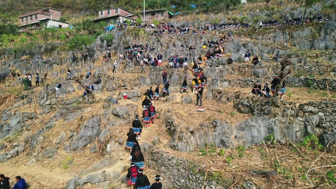 白裤瑶丧葬祭祀人群砍牛活动