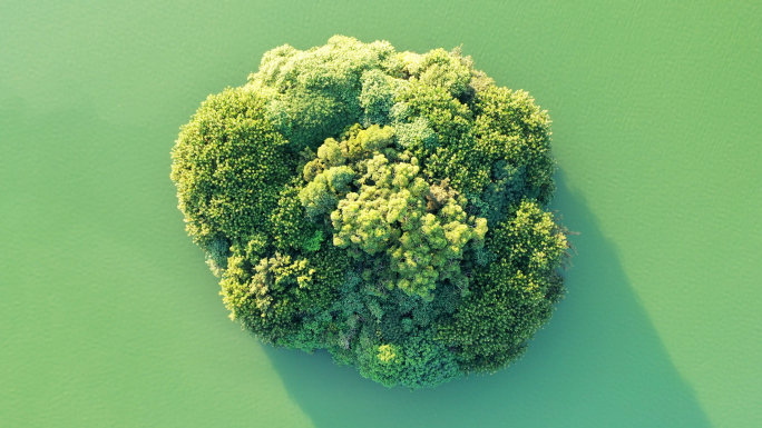 俯拍湖面小岛树林绿色原始森林自然生态植被